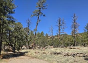 Lobo Canyon Picnic ground