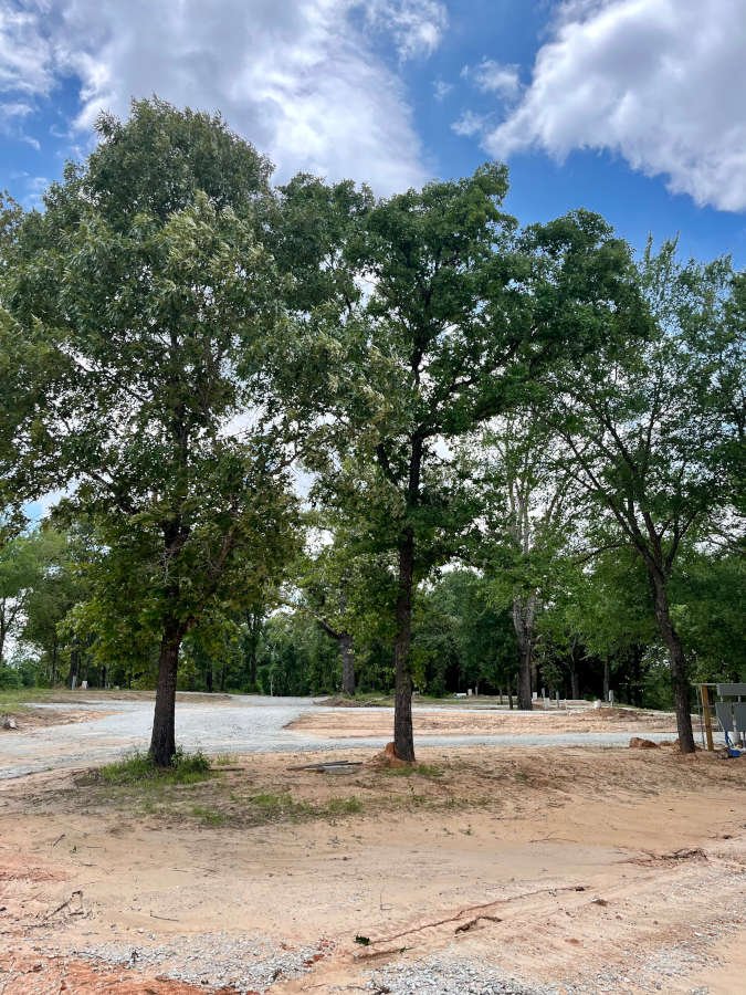 Shaded Acres RV Park & Campground (Buffalo, Texas) photo