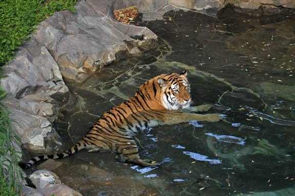 Minneapolis Southwest KOA Holiday