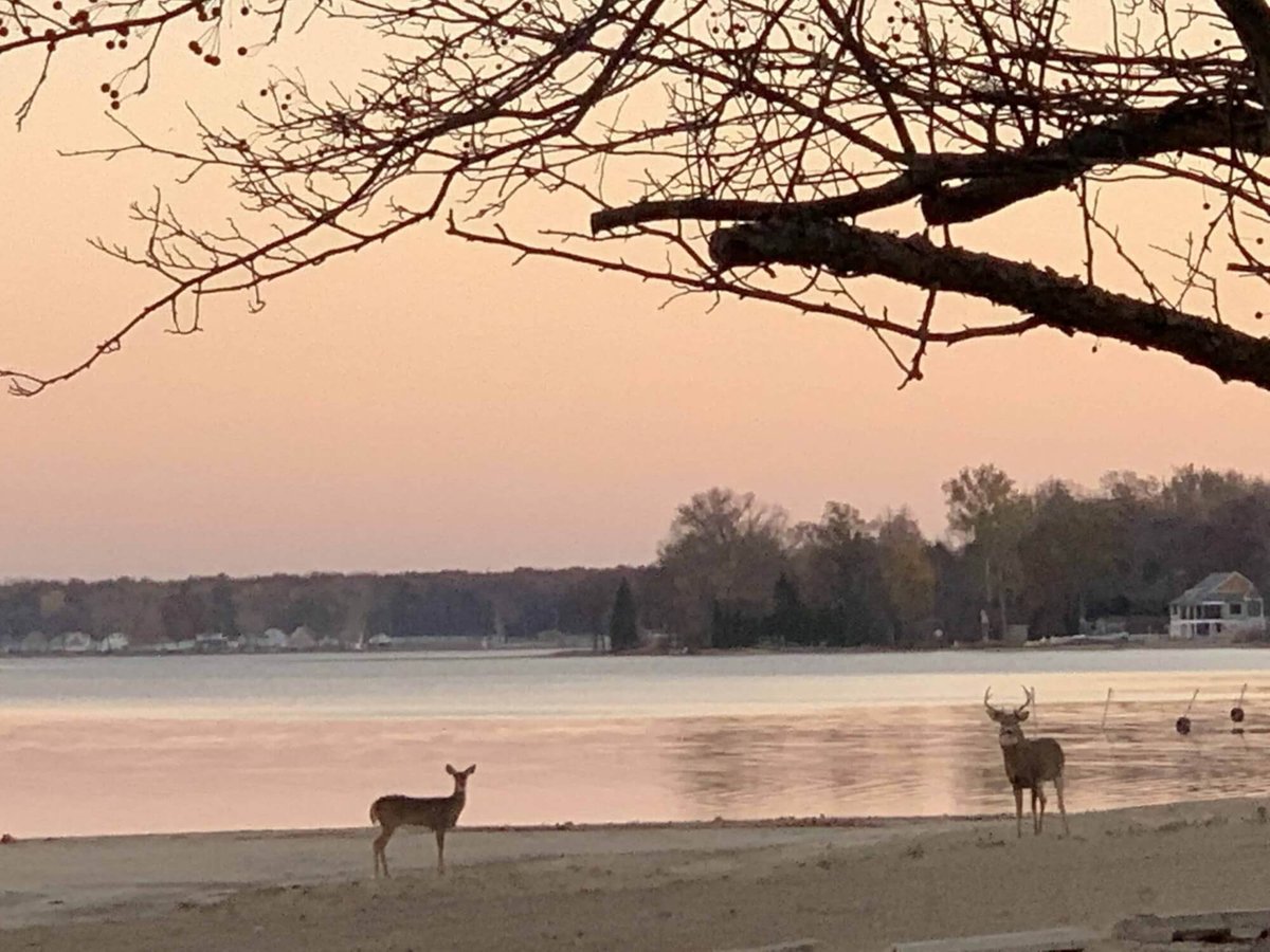 Bass Lake Beach & Campground