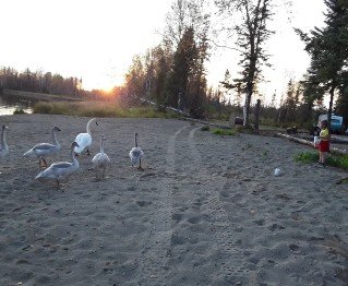 Forget Me Not RV Park