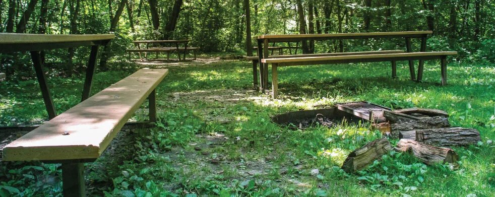 Rice Creek Campgrounds (Centerville, Minnesota) photo