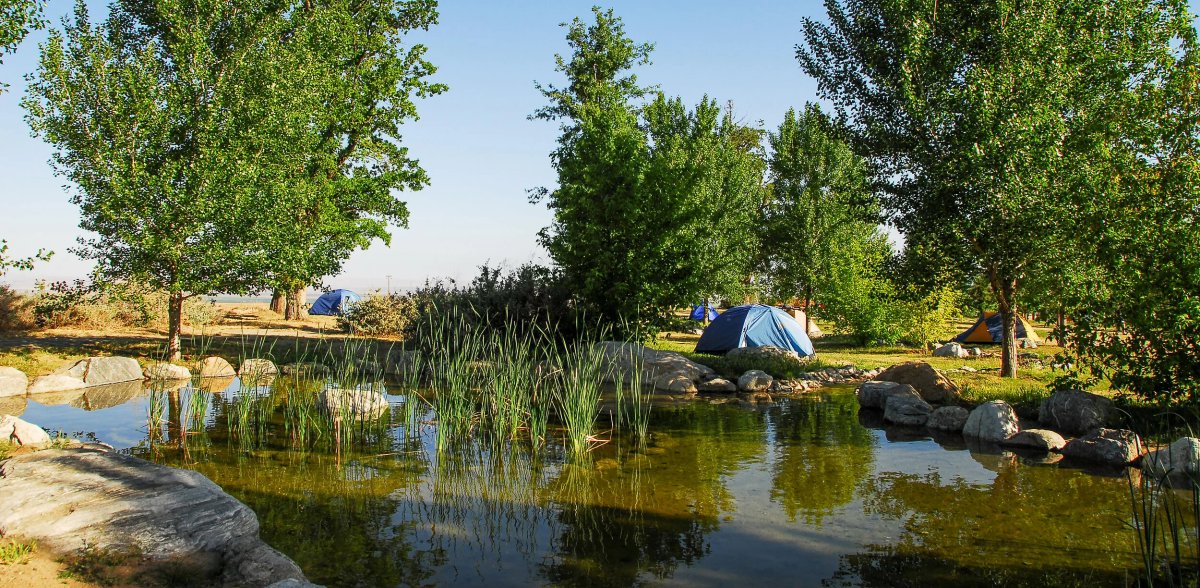 San Emigdio Campground (Pine Mountain Club, California) photo