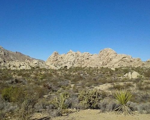 Spaceport RV Park (Mojave, California) photo