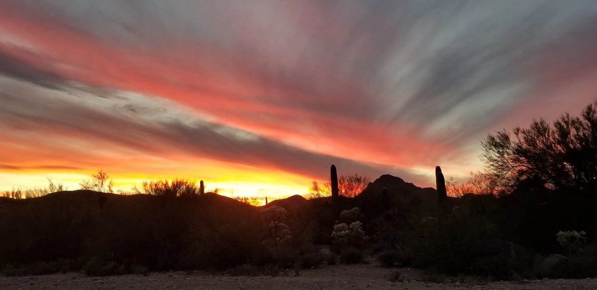 Justin's Diamond J RV Park