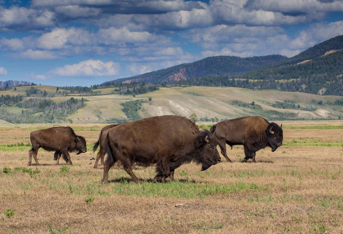 Patriot RV Park and Storage