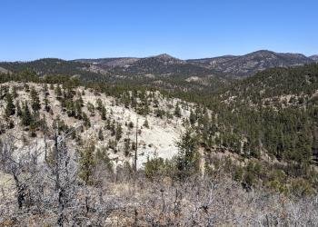 El Caso Throwdown Campground