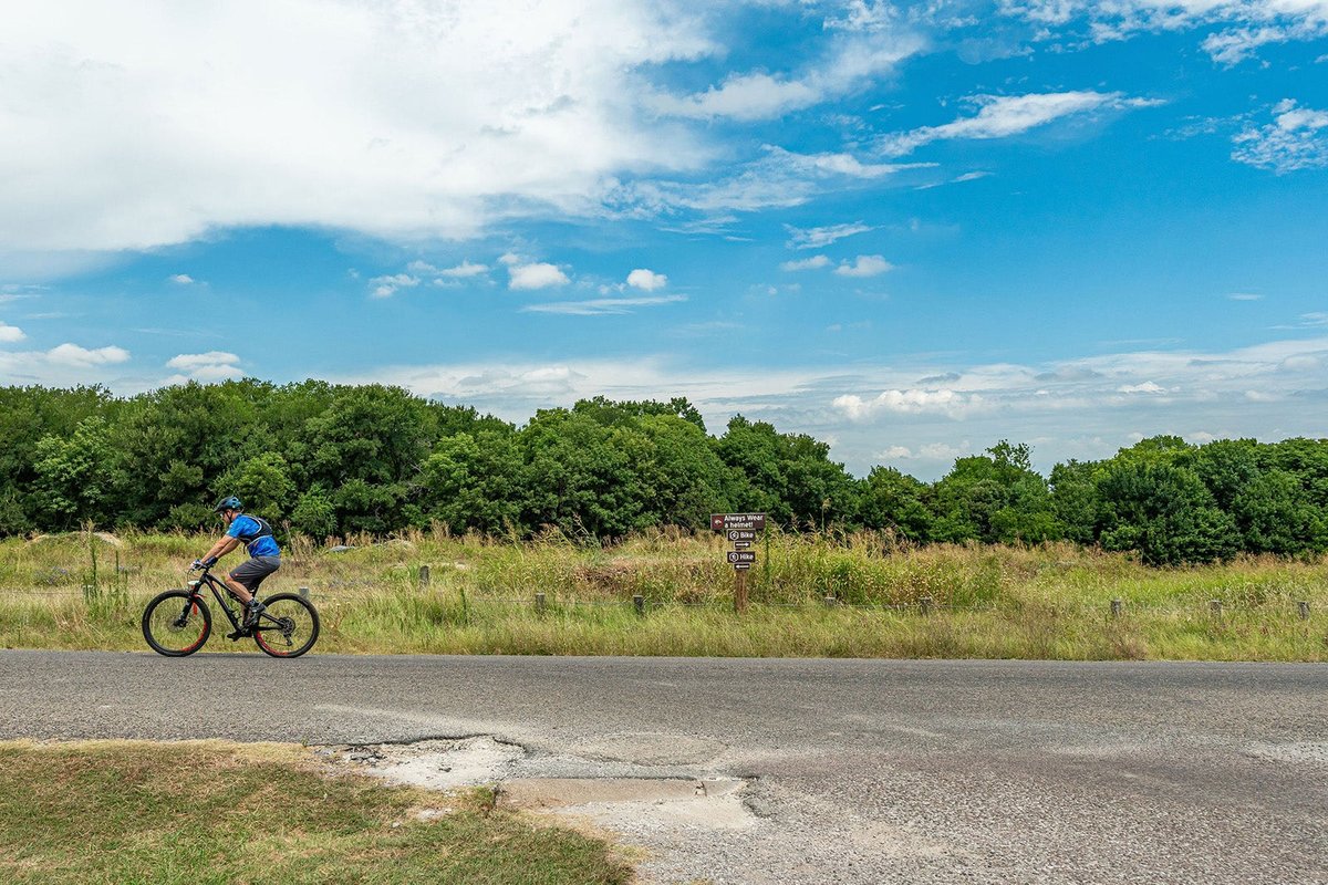 Erwin Park Campsite #12