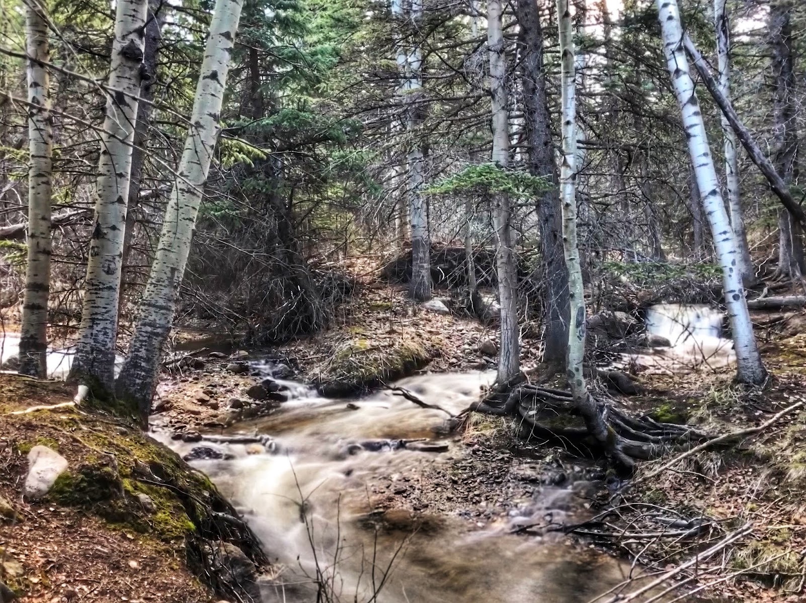 Rabbit Ears Campsite