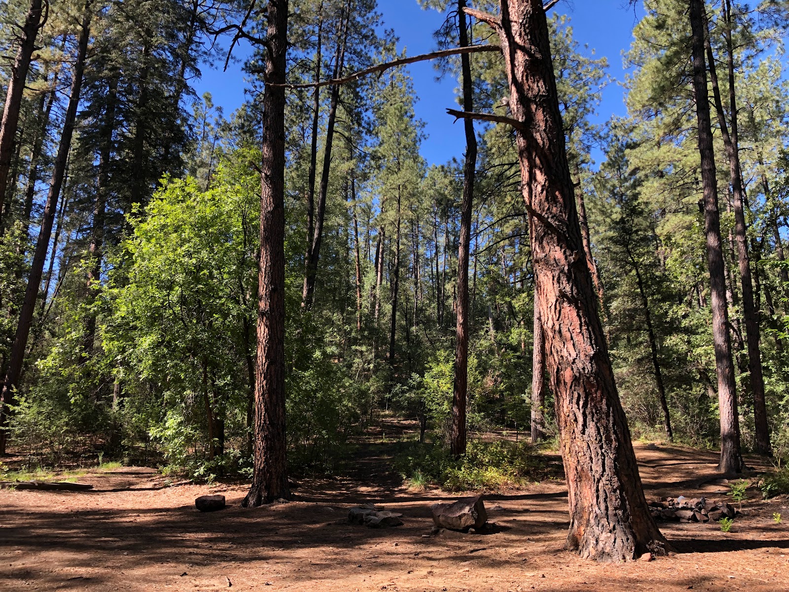 Rose Creek Campground