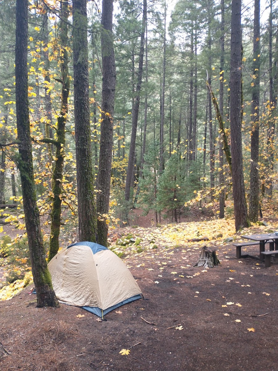 Ripstein Campground - Junction City, CA