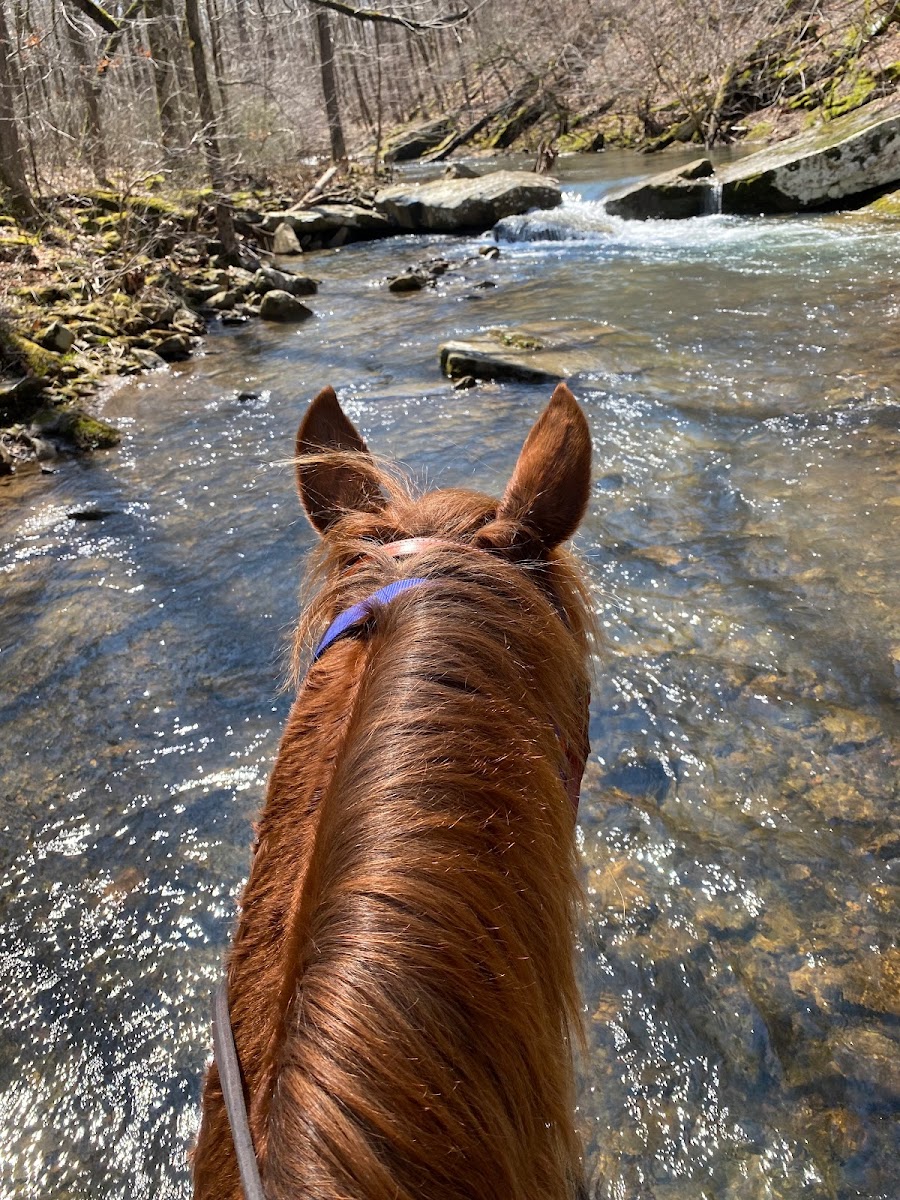 Boston Mountain Horse Camp