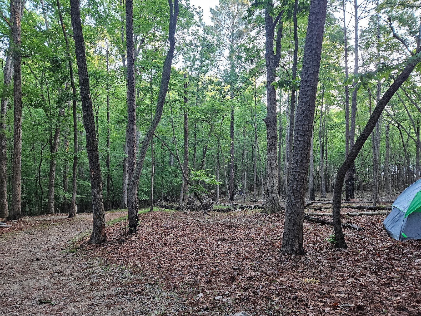 BW Wells Group Campsites 1-5