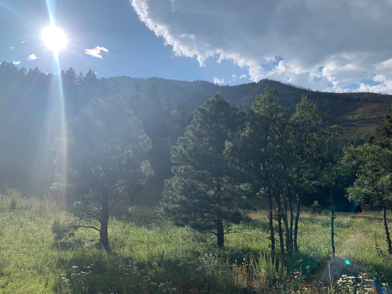 Oak Grove Campground