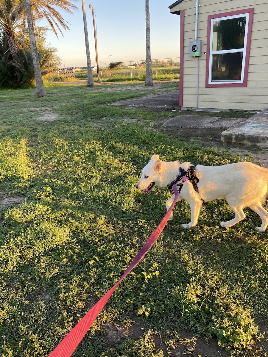 South Donna Palms RV Park