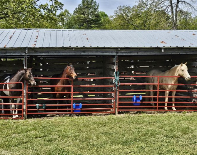 Fourche Creek RV Park and Riding Trails