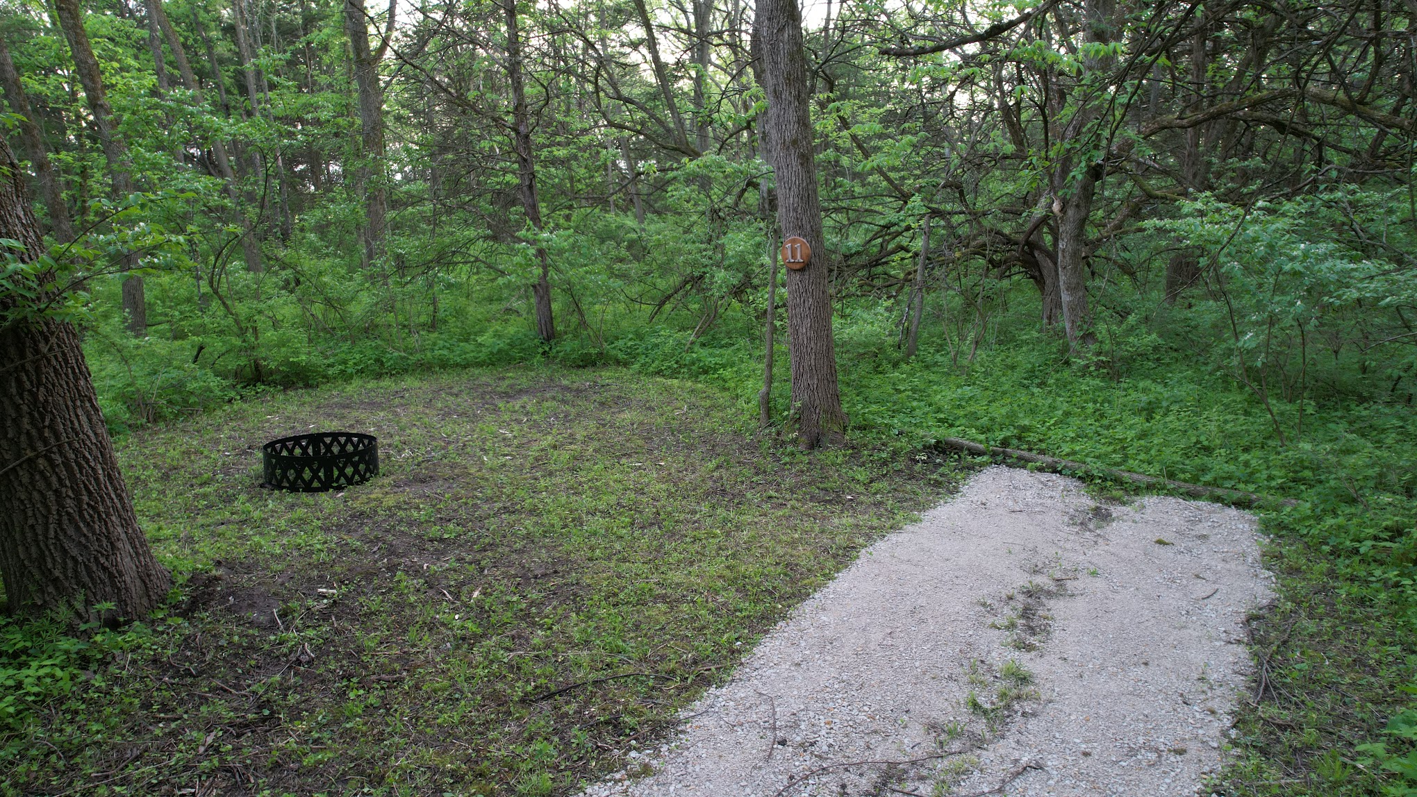 Angel Creek Campground