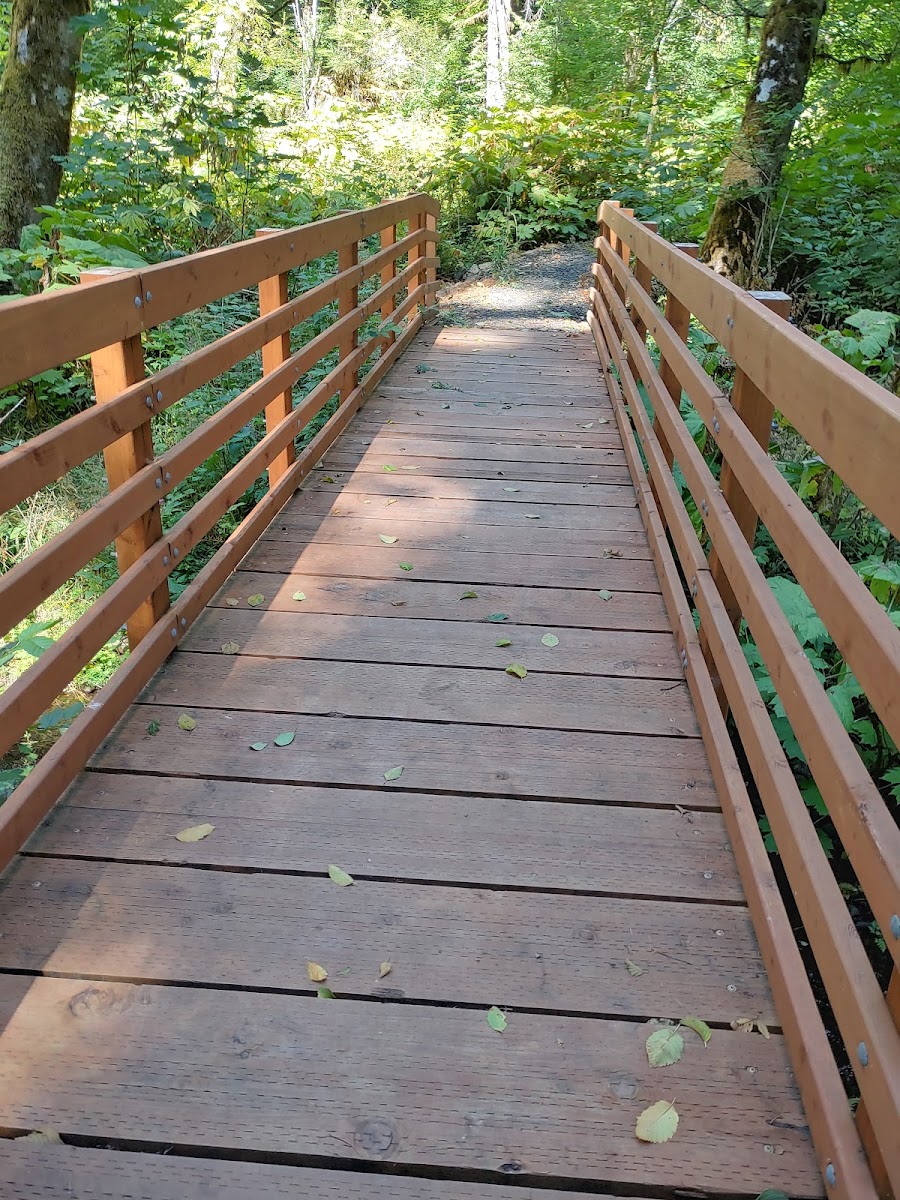 Gales Creek Campground