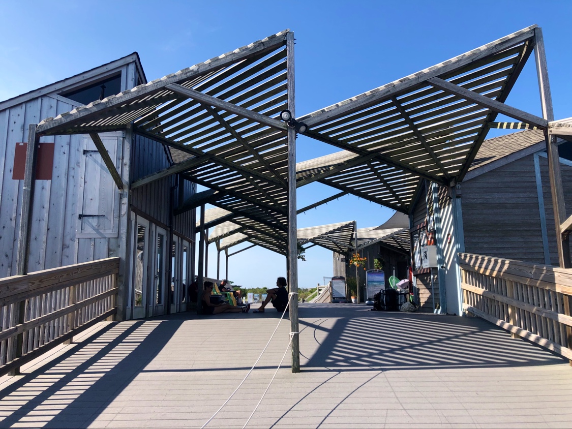 Watch Hill Fire Island Campground & Safari Tent Glamping