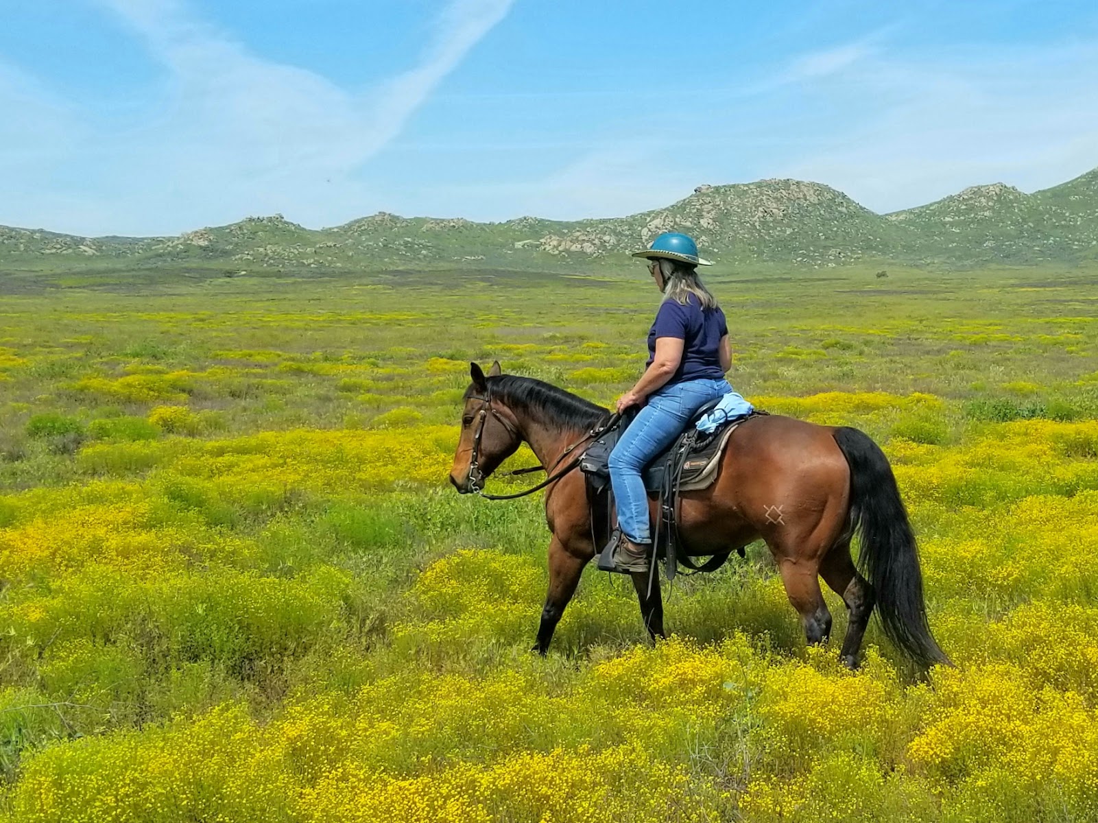 Lake Perris Horse Camp