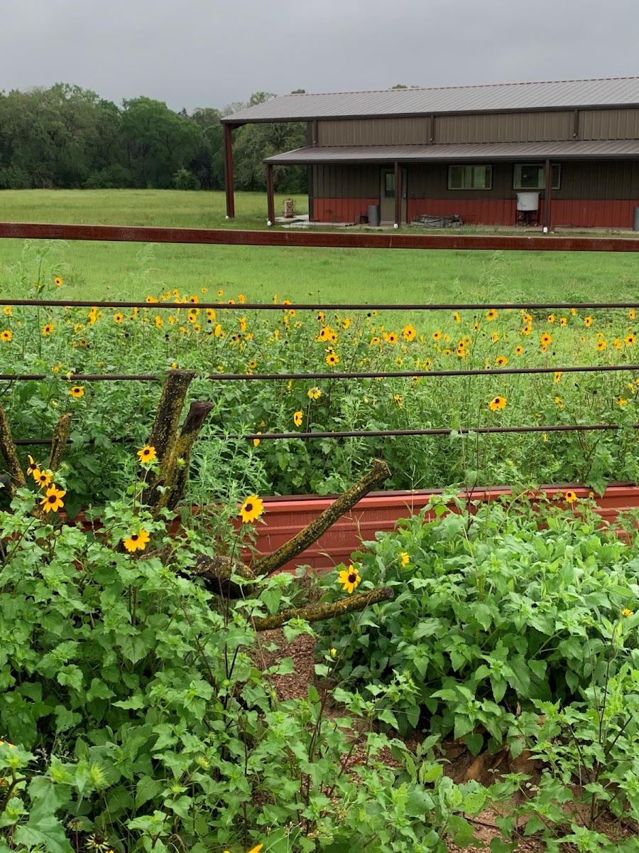 The Crossroads at 290 RV Park