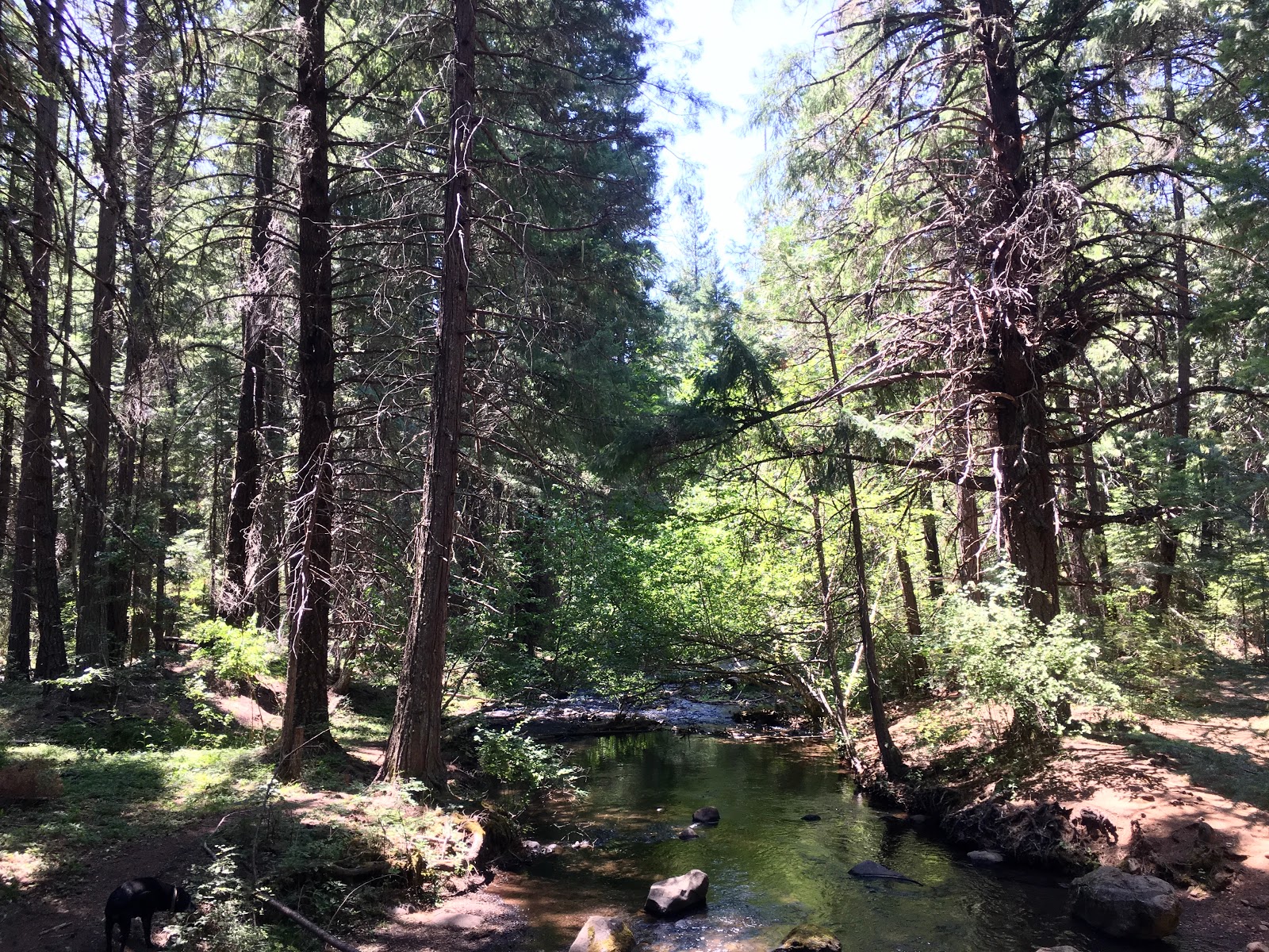 Fourbit Ford Campground