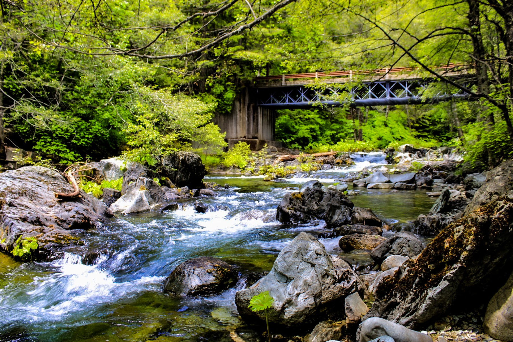Little North Fork Campground - Berry Creek, CA