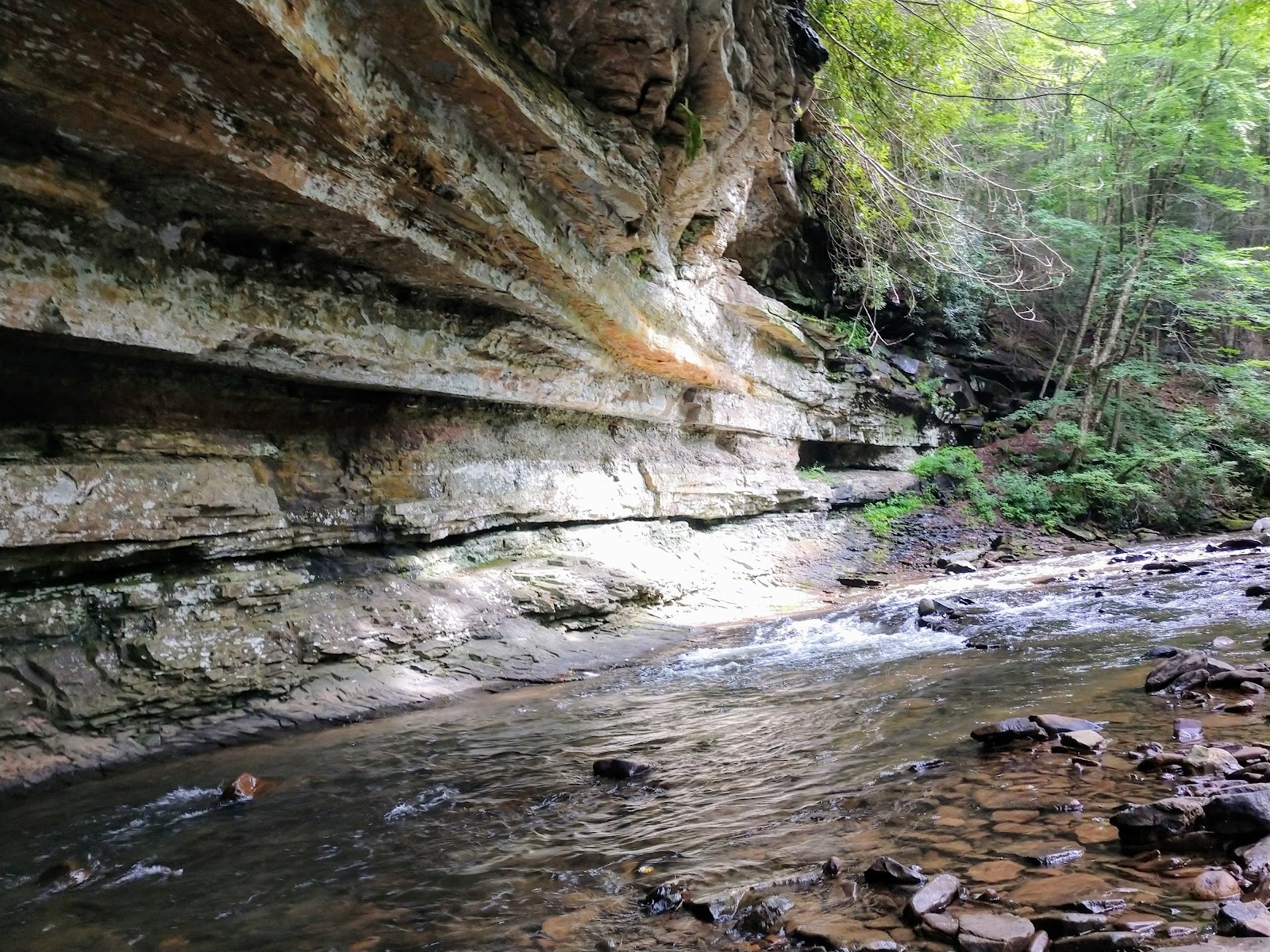 Swallow Rock Campground