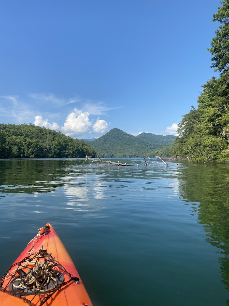 Lake Santeetlah Campsite #5