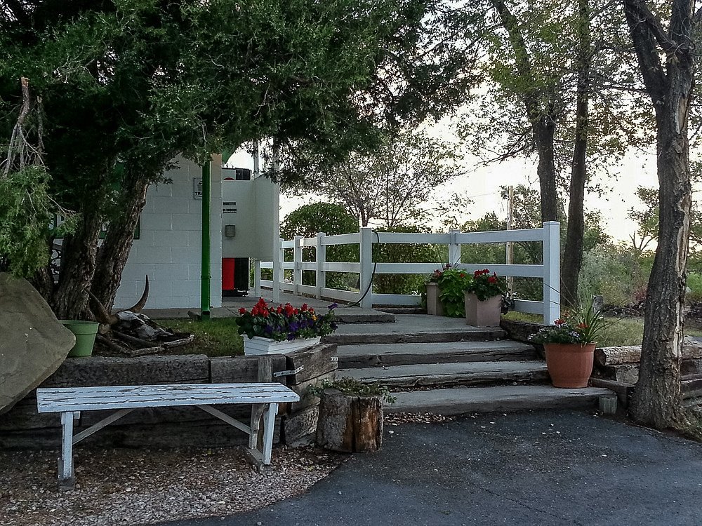 Green Tree's Crazy Woman Campground