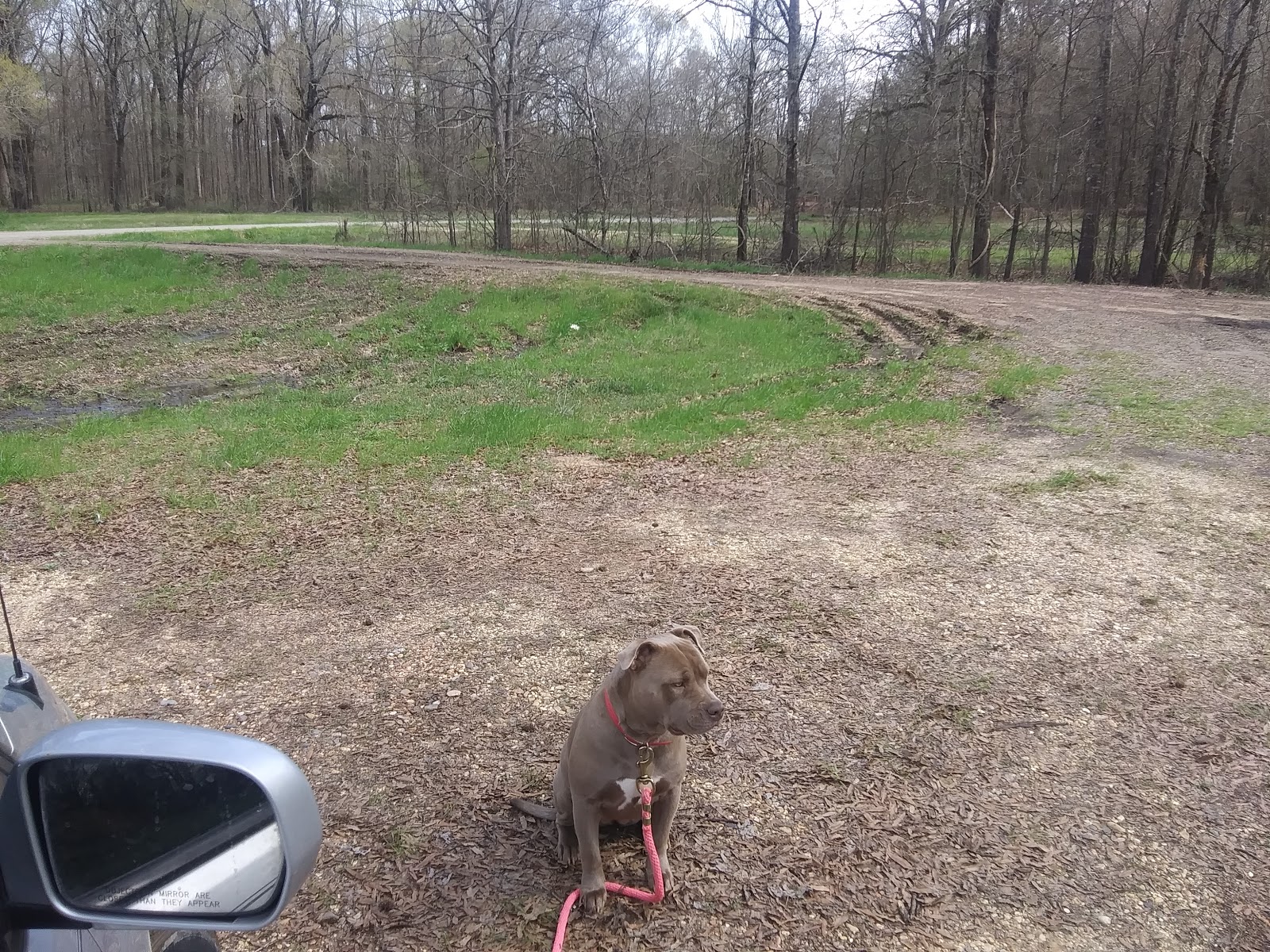 Russel Sage South Campground