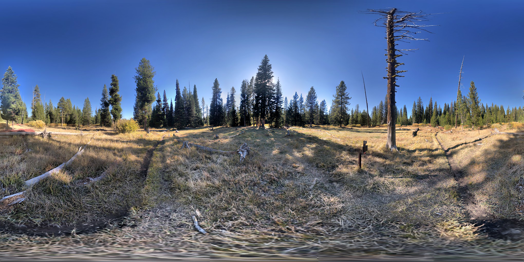 Upper Boundary Creek