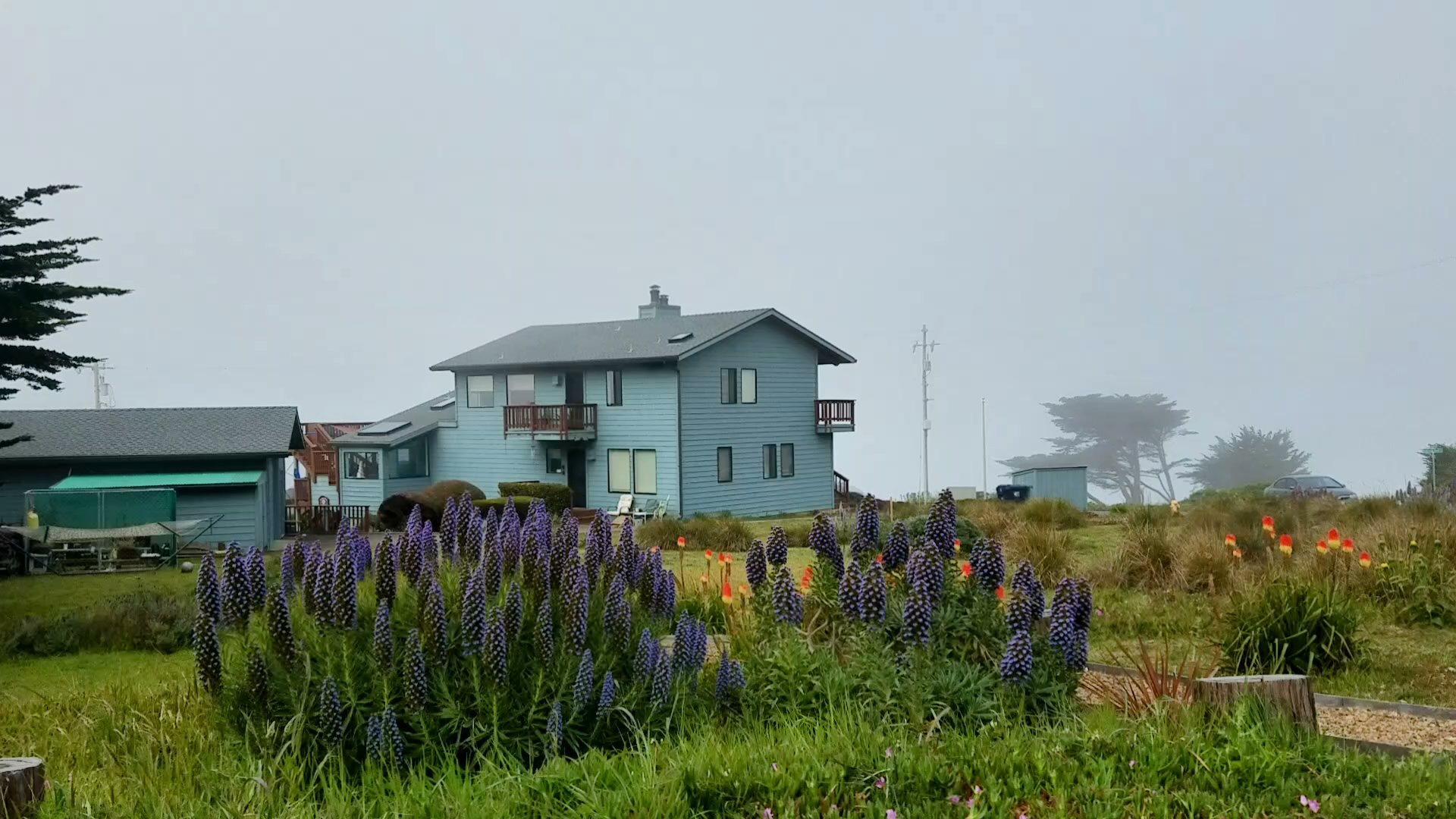 Gualala River Redwood Park
