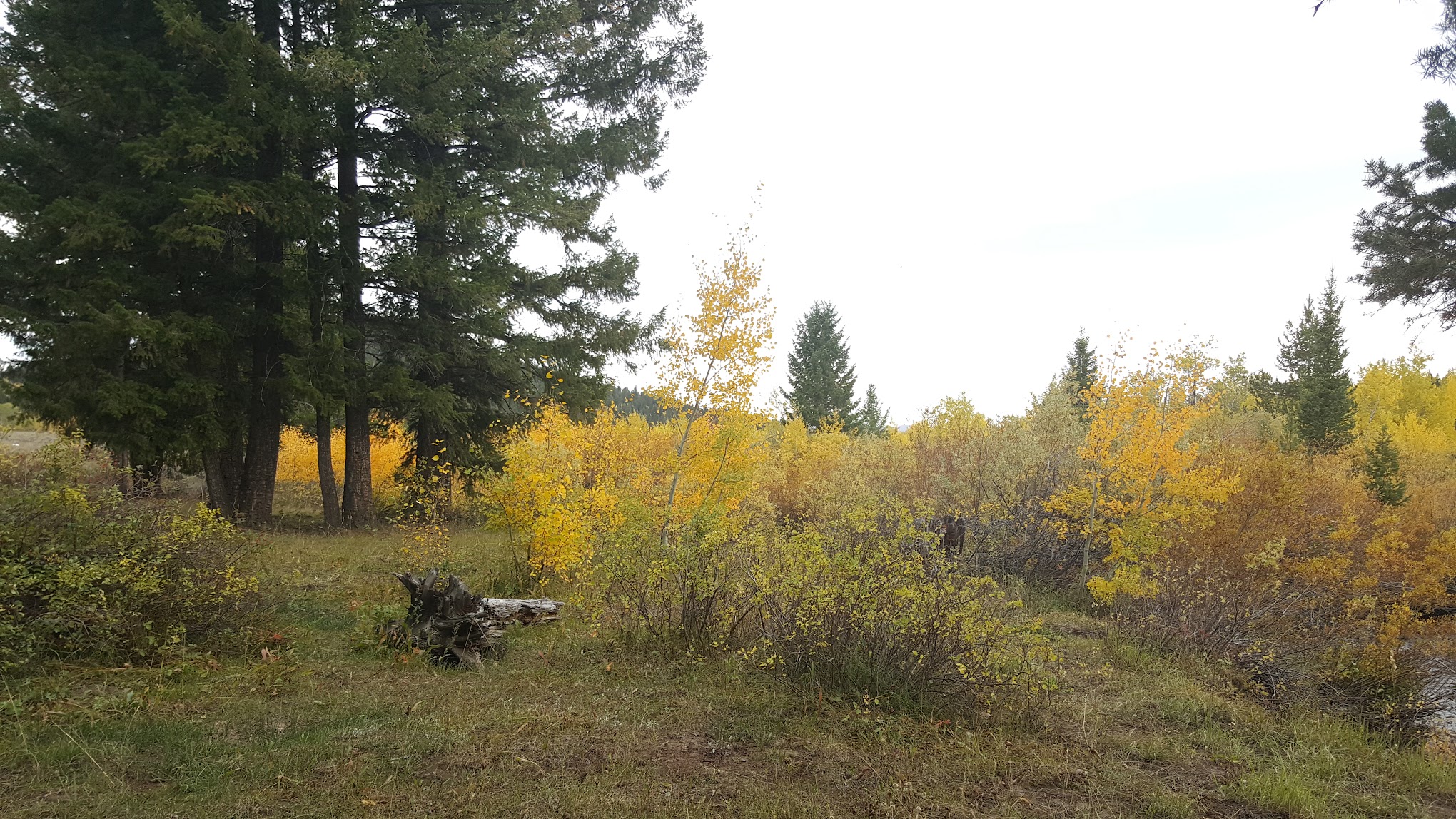 East Camas Campground