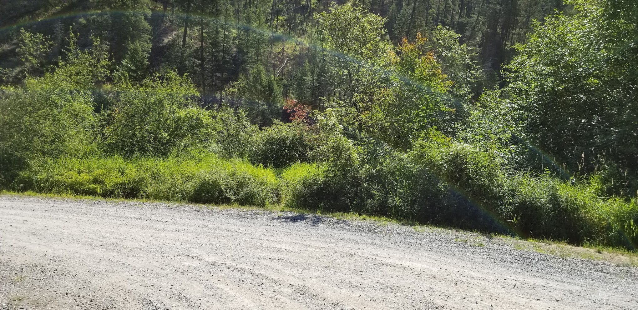 Clark Memorial Campground