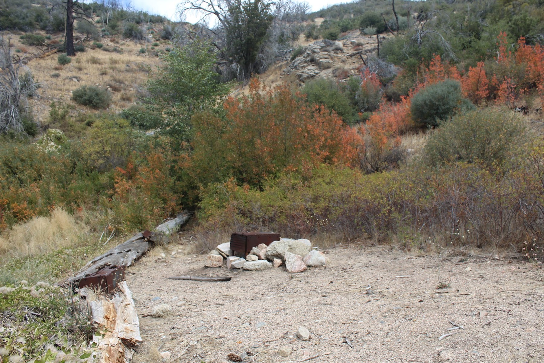 Little Mutau Campground