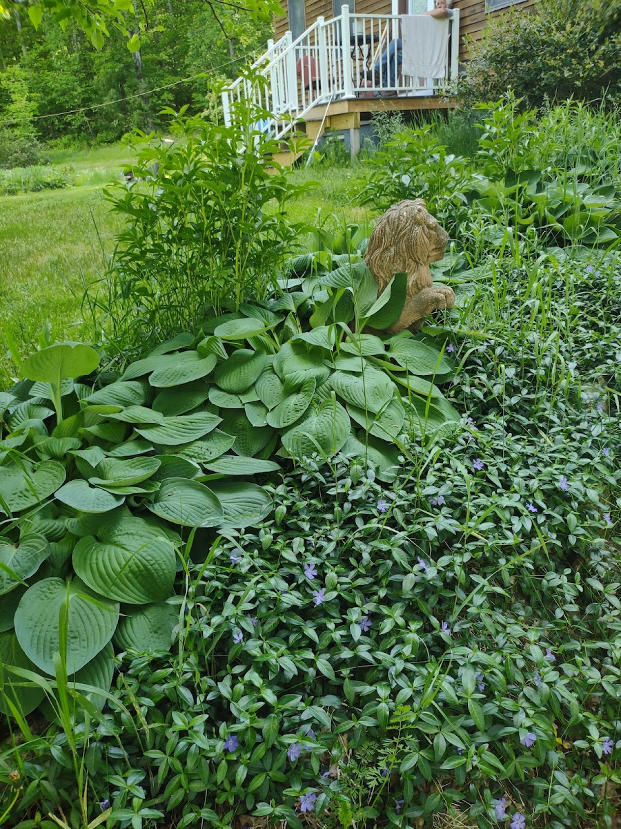 Full Wellness Retreat at Fort Ridge