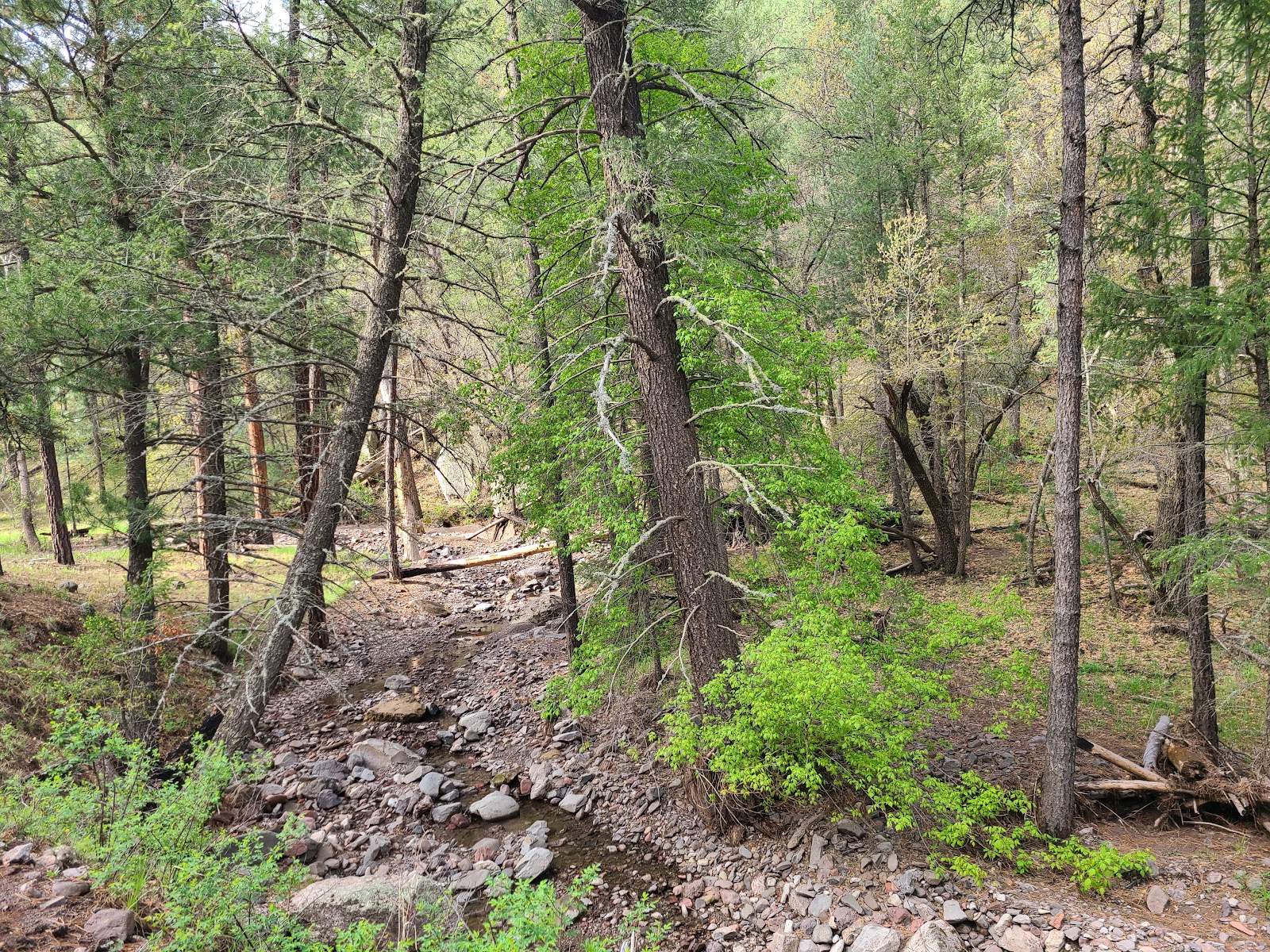 Black Canyon Campground - Upper (recgovnpsdata)