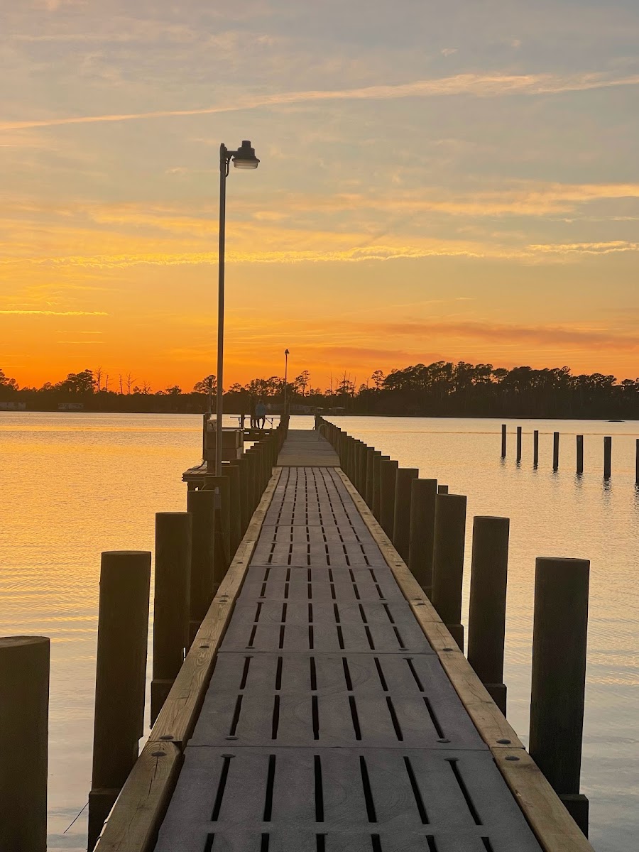 Coastal Carolina Campground