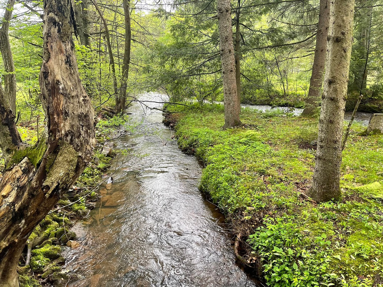 Oreland Troop 1 Hawk Mountain Camp