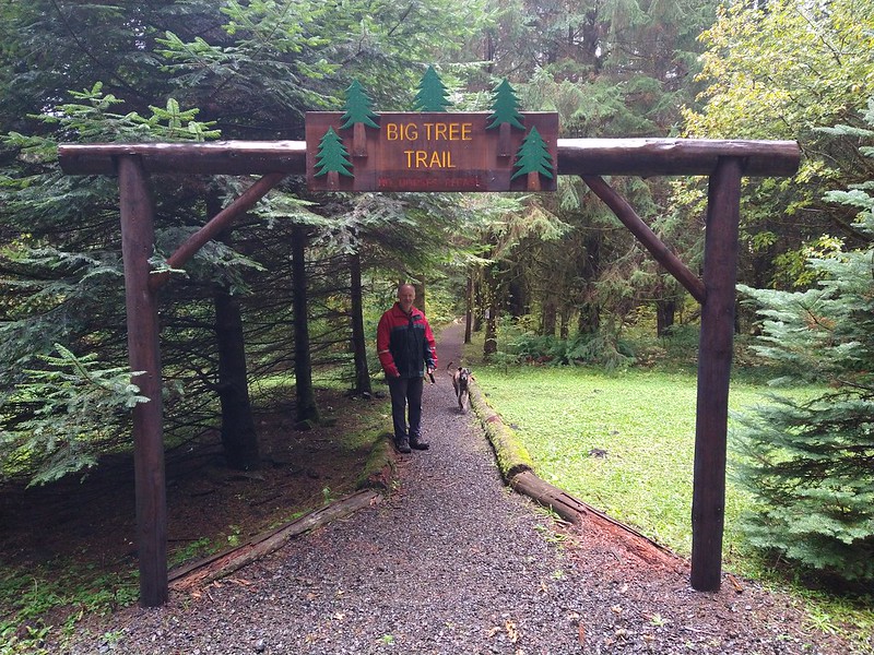 Northrup Creek Horse Camp