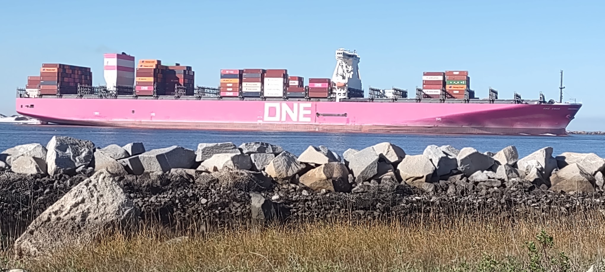 Host at Pelican Cove RV Park