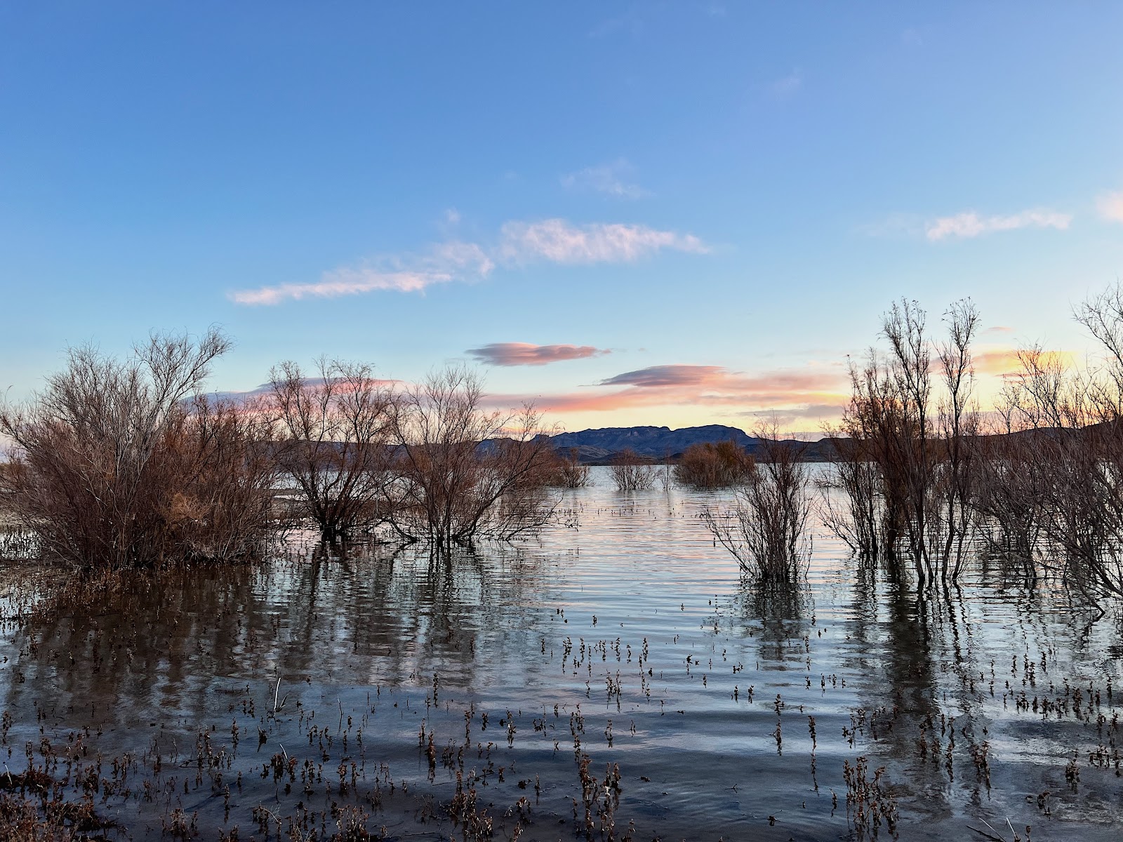 Lone Tree Lake Shore Camp