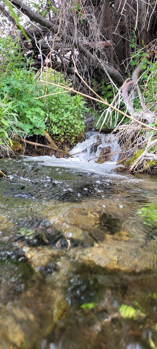 Timber Creek Campground