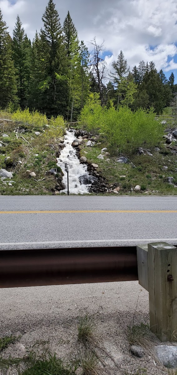 Willow Park Campground