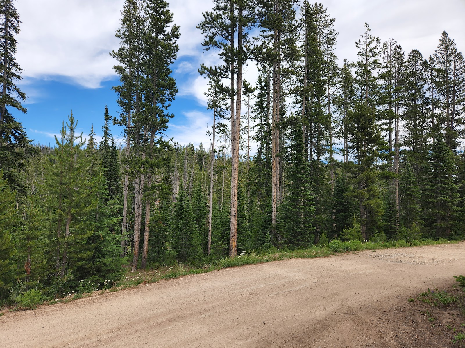 Big Bayhorse Campground