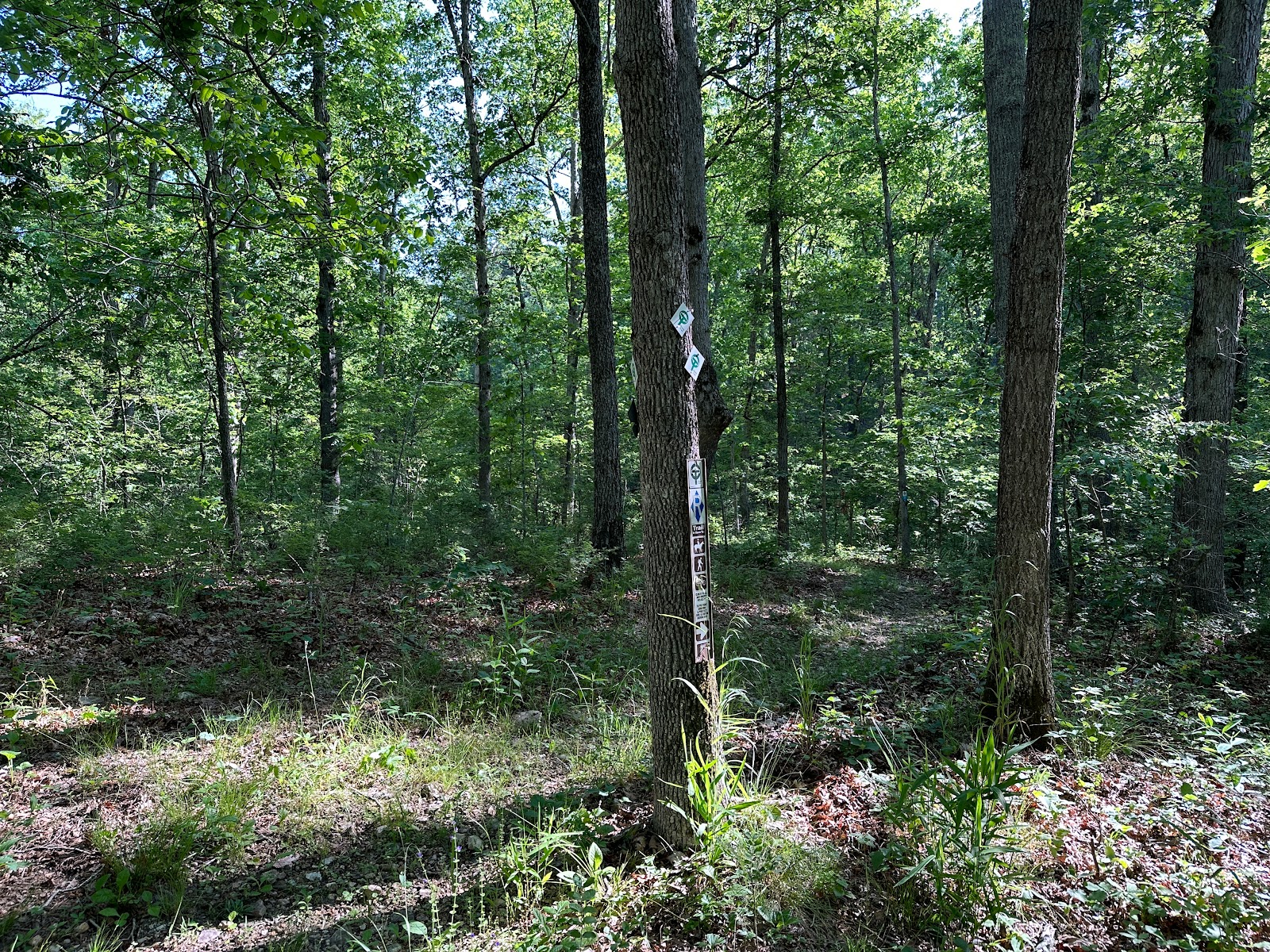 Ozark Trail Eleven Point Terminus