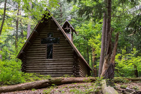 Hartwick Pines State Park Campground
