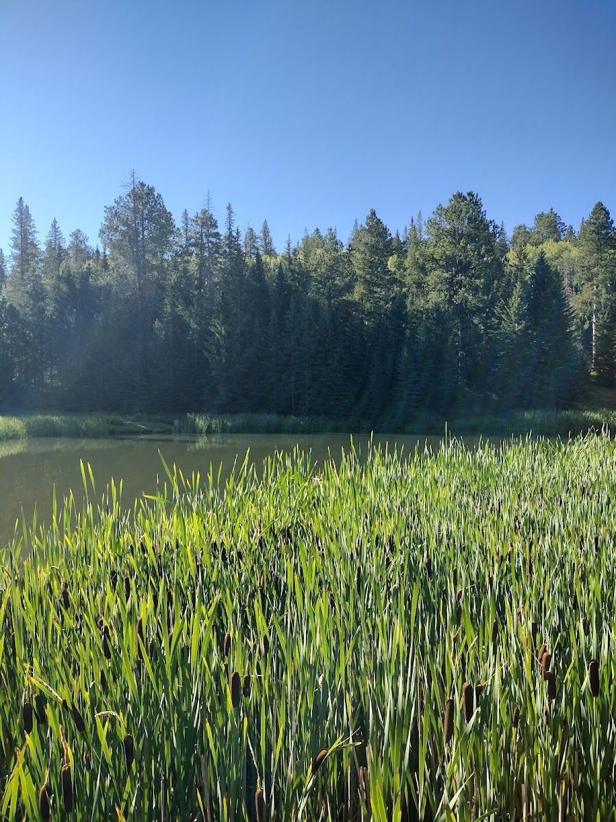 Strawberry Hill Campground