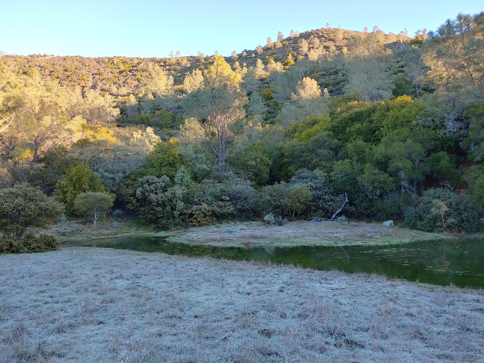 Turkey Springs Campground